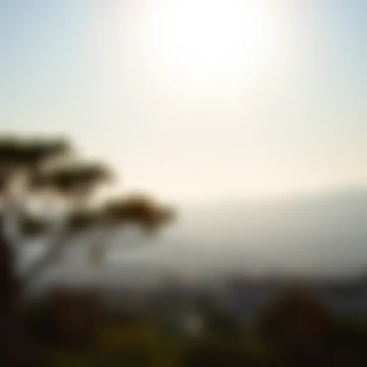 Clear sky with sun shining over Solaná landscape indicating pleasant weather conditions